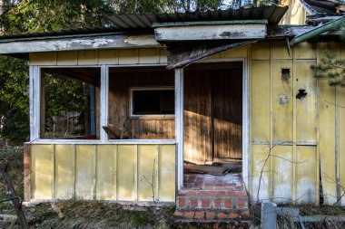 Stockholm, İsveç Ormanda terk edilmiş ve dökülen bir ahşap kulübe.
