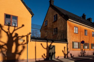 Stockholm, İsveç. Kasabanın merkezindeki Johannesgatan 'da turuncu cephede kirlenmiş ağaçların gölgeleri..