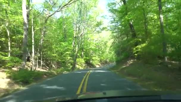 メリーランド州フレデリック王子 狭くて木造の国道を走る車 — ストック動画