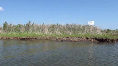 Brommes Adası, Maryland ABD Patuxent Nehri 'ndeki çimenli bir adanın kıyısı ve 