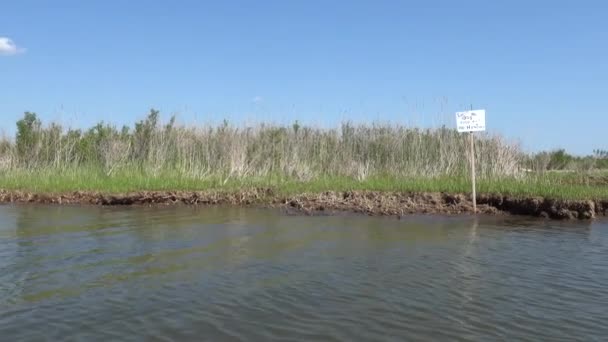 Brommes Adası Maryland Abd Patuxent Nehri Ndeki Çimenli Bir Adanın — Stok video