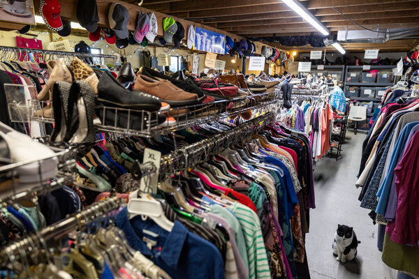 Solomons, Maryland, USA March 26, 2024 The interior of a second hand store with garments and a cat.