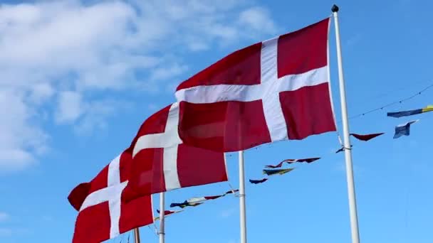 Estocolmo Suecia Banderas Danesas Los Asta Banderas Que Soplan Viento — Vídeo de stock