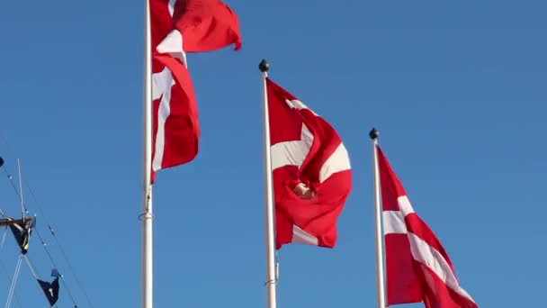 Stockholm Sweden Danish Flags Flagpoles Blowing Wind — Stock video