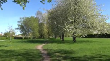 Stockholm, İsveç Enskede bölgesindeki yeşil bir parktan geçen bisiklet manzarası..