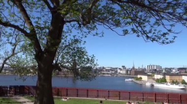 Stockholm, İsveç Şehrin ufuk çizgisi manzarası, Gamla Stan veya Old Town, ve Ivar Lo Park 'tan Riddarfjarden.  