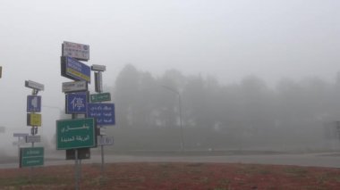 Almhult, İsveç. Siste bir trafik çemberi. Rusça, Tayca ve Arapça olmak üzere birçok dilde yol işaretleri var..