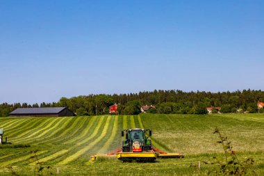 Stockholm, İsveç Bir traktör tarlada saman kesiyor.