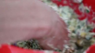 Eller peyniri kabaklı börek yapmak için kasede karıştırır.. 