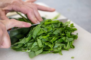 Bir aşçı taze ıspanak yapraklarını bıçakla keser..