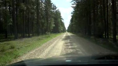 Varska, Estonya Yazın ormanda uzun toprak bir yol boyunca bir araba sürer.