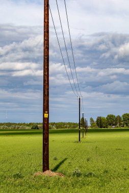 Tartu, Estonya Tahta elektrik direkleri ve buğday tarlasında çizgiler.