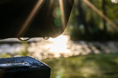 Stockholm, İsveç Çiy damlası sabahın erken saatlerinde yükselen güneşli bir bankta düşer..