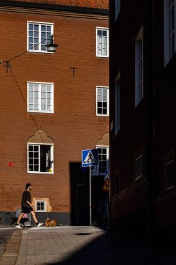 Stockholm, İsveç 20 Haziran 2024 Vasastan 'da bir adam iki köpeğini Vastmannagatan' da gezdiriyor..