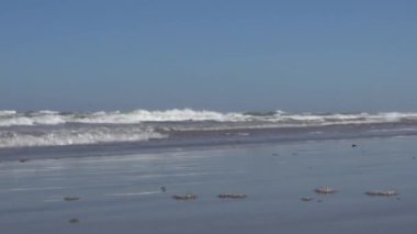 Hirtshals, Danimarka Kuzey Denizi 'nden sert sörf rüzgarlı bir günde sahile vurur.. 