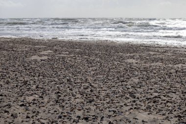 Hirtshals, Danimarka Kayalık ve kumlu Kuzey Denizi Sahili ve Sörf