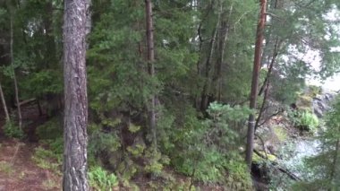 Stockholm, İsveç Baltık Denizi kıyısındaki Nacka banliyösünde ağaçlık bir ada yolu. 