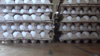 Stockholm, İsveç organik yumurta yığınları bir çiftlikte karton kutularda satılıyor..