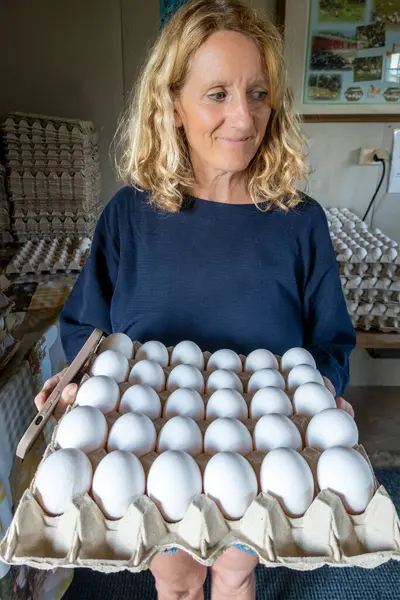 Stock image Stockholm, Sweden A woman holds a tray of purchased 30 eggs at a chicken coop at a farm.