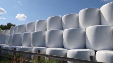Oregrund, İsveç Bir çiftlikte beyaz plastik kaplı saman balyaları. 