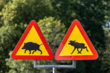 Norrtalje, Sweden A danger triangle on a highway warns against crossing moose and wild boar. clipart