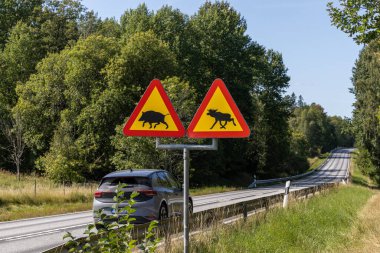 Norrtalje, Sweden Aug 19, 2024 A danger triangle on a highway warns against crossing moose and wild boar. clipart