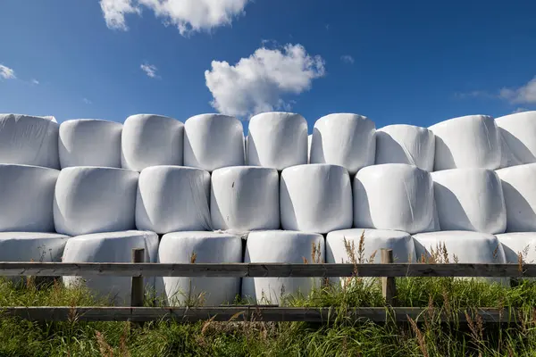 stock image Oregrund, Sweden Stacked white plastic-covered hay bales on a farm.