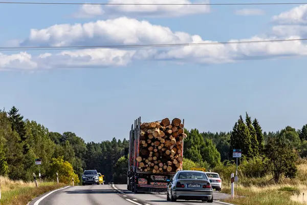 stock image Oregrund, Sweden Aug 19, 2024 Freshy cut timber on the back of a truck on a road.