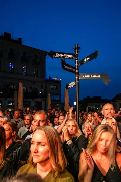 stock image Stockholm, Sweden August 20, 2024 Swedish public at an outdoor concert at Sodra Teatern at Mosebacke.