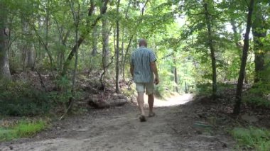 Calvert Cliffs, Maryland USA Orman ve sulak arazide bir adam ağaçlık bir yolda yürüyor.
