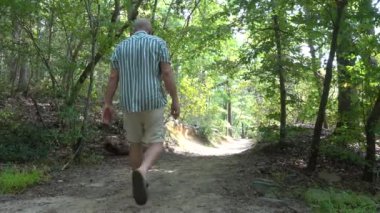 Calvert Cliffs, Maryland USA Orman ve sulak arazide bir adam ağaçlık bir yolda yürüyor.