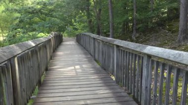 Solomonlar, Maryland, ABD Calvert Cliffs Eyalet Parkı ve Chesapeake Körfezi 'ndeki Grays Creek manzarası.