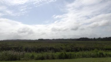Chincoteague, Virginia, ABD Chincoteague Ulusal Vahşi Yaşam Sığınağı.  