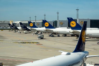 Frankfurt, Almanya 26 Ağustos 2024 Frankfurt havaalanının kalkış kapılarında Lufthansa uçakları iniş yaptı..