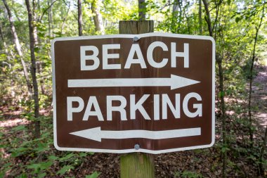 Solomons, Maryland, ABD bataklık manzarası Calvert Cliffs State Park ve Chesapeake Körfezi 'ndeki Grays Creek' te..
