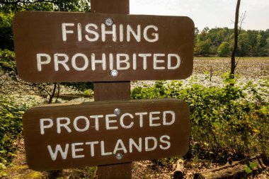 Solomons, Maryland, ABD bataklık manzarası Calvert Cliffs State Park ve Chesapeake Körfezi 'ndeki Grays Creek' te ve tabelada Balıkçılık Yasaktır, Korunan Bataklıklar yazıyor..