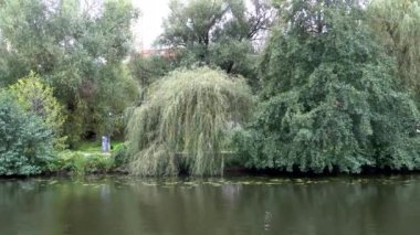 Stockholm, İsveç Kungsholmen bölgesindeki Karlbergsjon 'da fazla büyümüş bir kanalın yavaş hareket eden tavası.. 