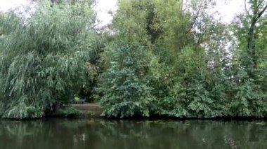 Stockholm, İsveç Kungsholmen bölgesindeki Karlbergsjon 'da fazla büyümüş bir kanalın yavaş hareket eden tavası.. 