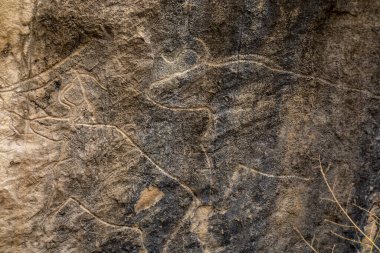 Gobustan, Azerbaijan  Ancient petroglyphs in the rock in the Boyukdash park depict a bull. clipart