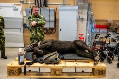 Stockholm, Sweden Oct 9, 2024 Military personel show off a doll training dog to train in medcial emergencies during a seven country Nato training mission. clipart