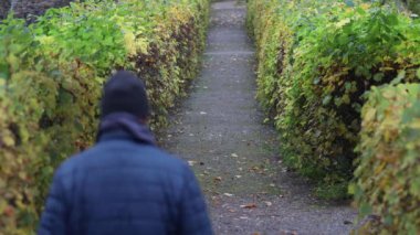 Nykvarn, İsveç 'te bir adam, sonbahar yapraklarının ortasında, Malaren Gölü kıyısında parkta tek başına yürüyor.. 
