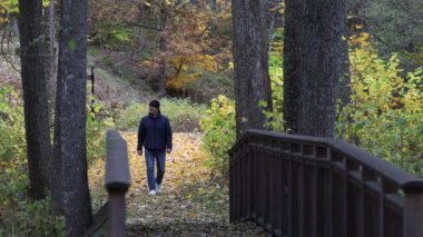 Nykvarn, İsveç 'te bir adam, sonbahar yapraklarının ortasında, Malaren Gölü kıyısında parkta tek başına yürüyor.. 