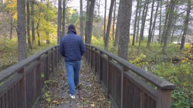Nykvarn, İsveç 'te bir adam, sonbahar yapraklarının ortasında, Malaren Gölü kıyısında parkta tek başına yürüyor.. 