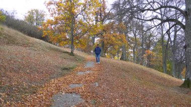 Nykvarn, İsveç 'te bir adam, sonbahar yapraklarının ortasında, Malaren Gölü kıyısında parkta tek başına yürüyor.. 