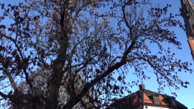 Uppsala, İsveç Uppsala Katedrali ve Gustavianum veya Uppsala Üniversitesi Müzesi 'nin panning park manzarası.