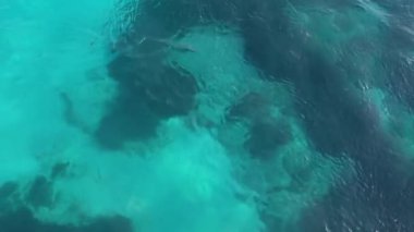Comino, Malta Mavisi ve turkuaz su Mavi Göl 'de doğal yüzme cazibesi. 