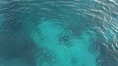 Comino, Malta Mavisi ve turkuaz su Mavi Göl 'de doğal yüzme cazibesi. 