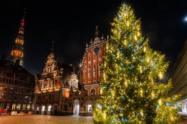 Riga, Letonya Eski Şehir 'deki Plac Ratuszowy meydanında ve Siyah Kafalar Evi' nde aydınlatılmış bir Noel ağacı..