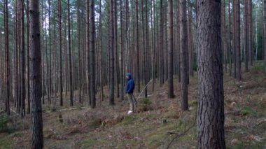 Stockholm, İsveç Bir adam kışın ormanda yürür. 