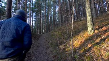 Stockholm, İsveç Bir adam kışın ormanda yürür. 